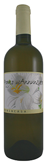 poggio dellannunziata - Cantina Benincasa